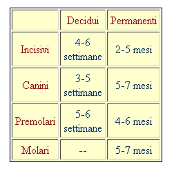 Schema cambio denti