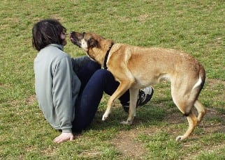 le migliori posizioni per fare l amore