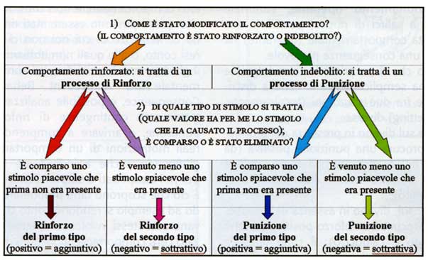 Il Padre Del Condizionamento Operante è Il condizionamento operante (rinforzi e punizioni, positivo e negativo