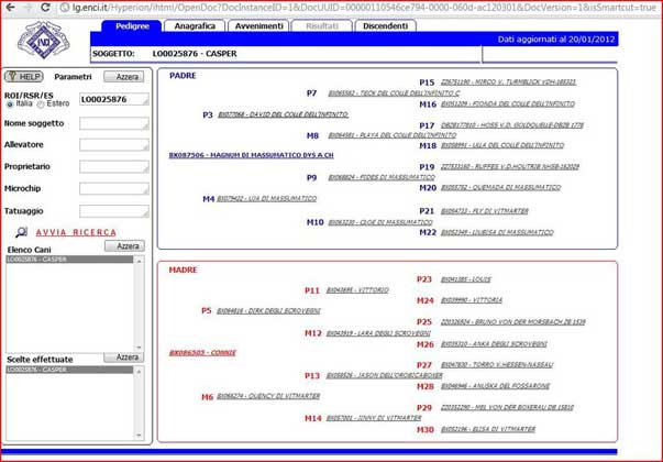 database3