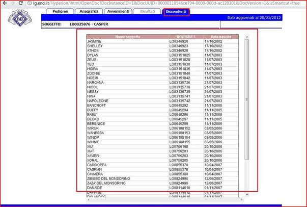 database6