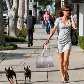 Come gestire due cani