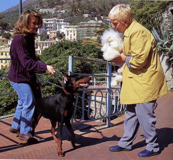 Come allevare il cane perfetto